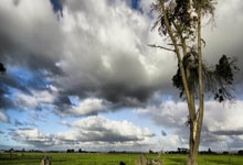 江苏男篮迎战北京首钢，赛场上将有怎样的表现？