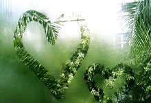 江苏男篮迎战北京首钢，赛场上将有怎样的表现？