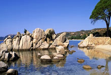 尤文图斯遗憾止步欧冠强赛事：斑马军团的失落与前瞻